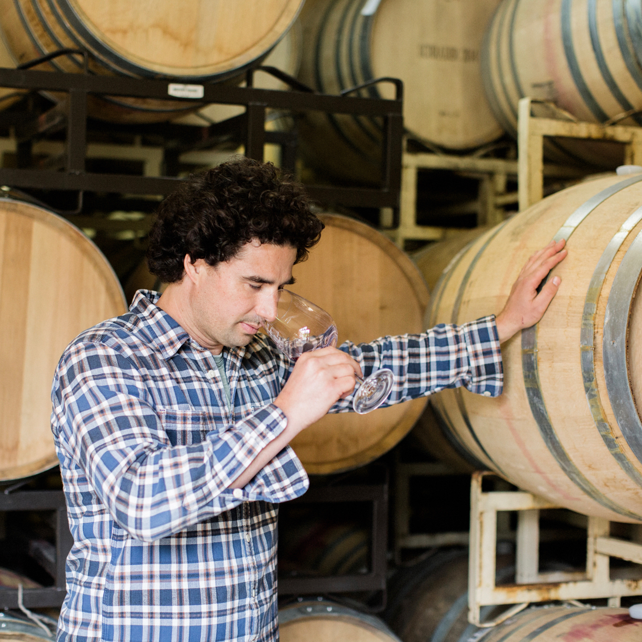 Portrait of Michael Scorsone in wine cellar